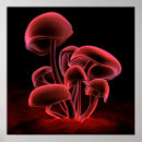 Suche nach rote pilze poster Pflanze