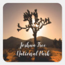 Suche nach joshua aufkleber Natur