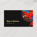 Suche nach papagei visitenkarten Bunt