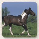 Suche nach malen sie pferd Laufen