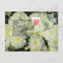Suche nach chrysantheme postkarten Natur