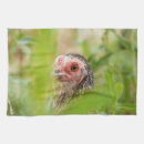 Suche nach geflügel geschirr tücher Vogel