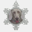 Suche nach weimaraner ornamente Foto