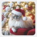 Suche nach ragdoll katze aufkleber Weihnachten
