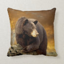 Suche nach wilde kissen Bär