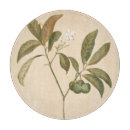 Suche nach motiv schneidebrettchen Motif