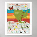 Suche nach migration poster Schmetterling