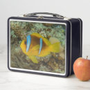 Suche nach fische brotdosen Gelb