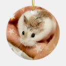 Suche nach niedlicher hamster ornamente Haustier