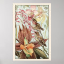 Suche nach vintage orchideen poster Kolibris