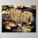 Suche nach interessante poster Natur