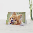 Suche nach lächelnde hunde postkarten Süß