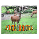 Suche nach rotwild kalender Elche