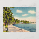 Suche nach vintage palmen postkarten Florida
