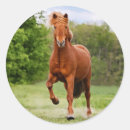 Suche nach ponys aufkleber Für kinder