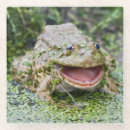Suche nach frosch untersetzer Frösche