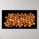 Suche nach snail poster Schnecken