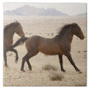 Suche nach laufen fliesen Wild