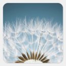 Suche nach rasen aufkleber Blume