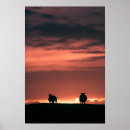 Suche nach sheep poster Schafe