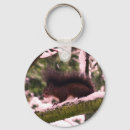 Suche nach eichhörnchen schlüsselanhänger Foto