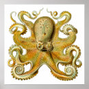 Suche nach octopus poster Tiere