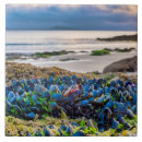 Suche nach lagune fliesen Strand