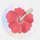 Suche nach hibiskus aufkleber Hawaii