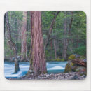 Suche nach mammutbaum mousepads Wald
