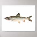 Suche nach deep sea poster Fish