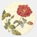 Suche nach alte rose aufkleber Altmodisch