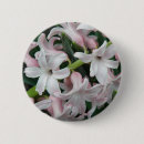 Suche nach hyazinthen buttons Rosa