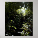 Suche nach treppenhaus poster Wald