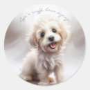 Suche nach lustiger hund aufkleber Welpenliebe
