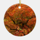 Suche nach ahorn ornamente Oregon