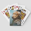 Suche nach haustiere spielkarten Hund