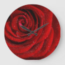 Suche nach red rose poster Macro