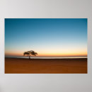 Suche nach einsamer baum poster Bäume