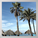 Suche nach palmen und strand poster Aruba