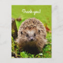 Suche nach forest animals poster Hedgehog