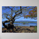 Suche nach hilo poster Hawaii