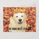 Suche nach hundeliebhaber postkarten Freund