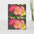 Suche nach rosa und gelbe rosen karten Mother