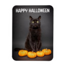 Suche nach halloween katze magnete Lustig