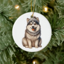 Suche nach alaskan malamute ornamente Liebe