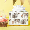 Suche nach kälber geschenkpapier Vieh