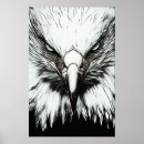 Suche nach weißer adler poster Tier