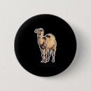 Suche nach kamel buttons Tiere