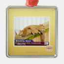 Suche nach nachrichten ornamente Ich kann habe cheezburger