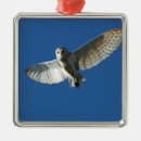 Suche nach fliegender vogel ornamente Flug